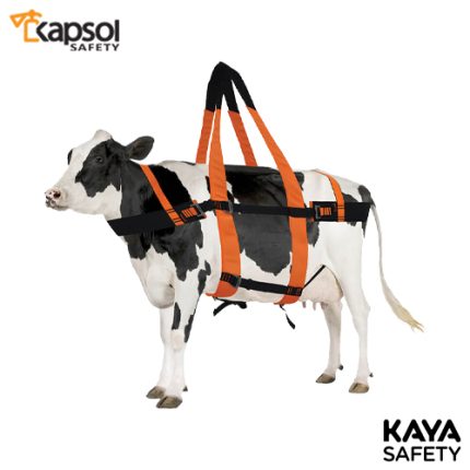 هارنس نجات حیوانات بزرگ برند کایا سیفتی KAYA SAFETY مدل C AND H-80